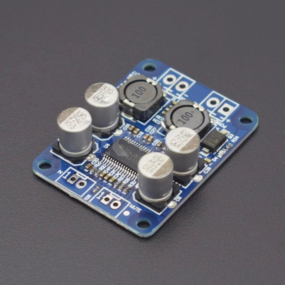 CA-3118 Module de carte d’amplificateurs de puissance audio numérique mono 60W DC 12V-24V – Image 2