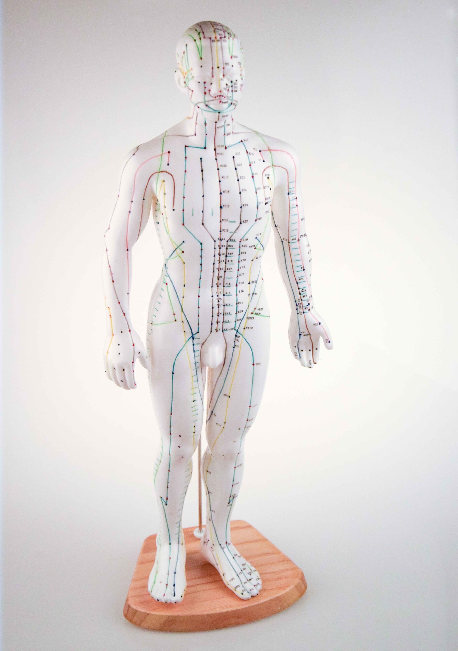 Mannequin Français HOMME – Image 2