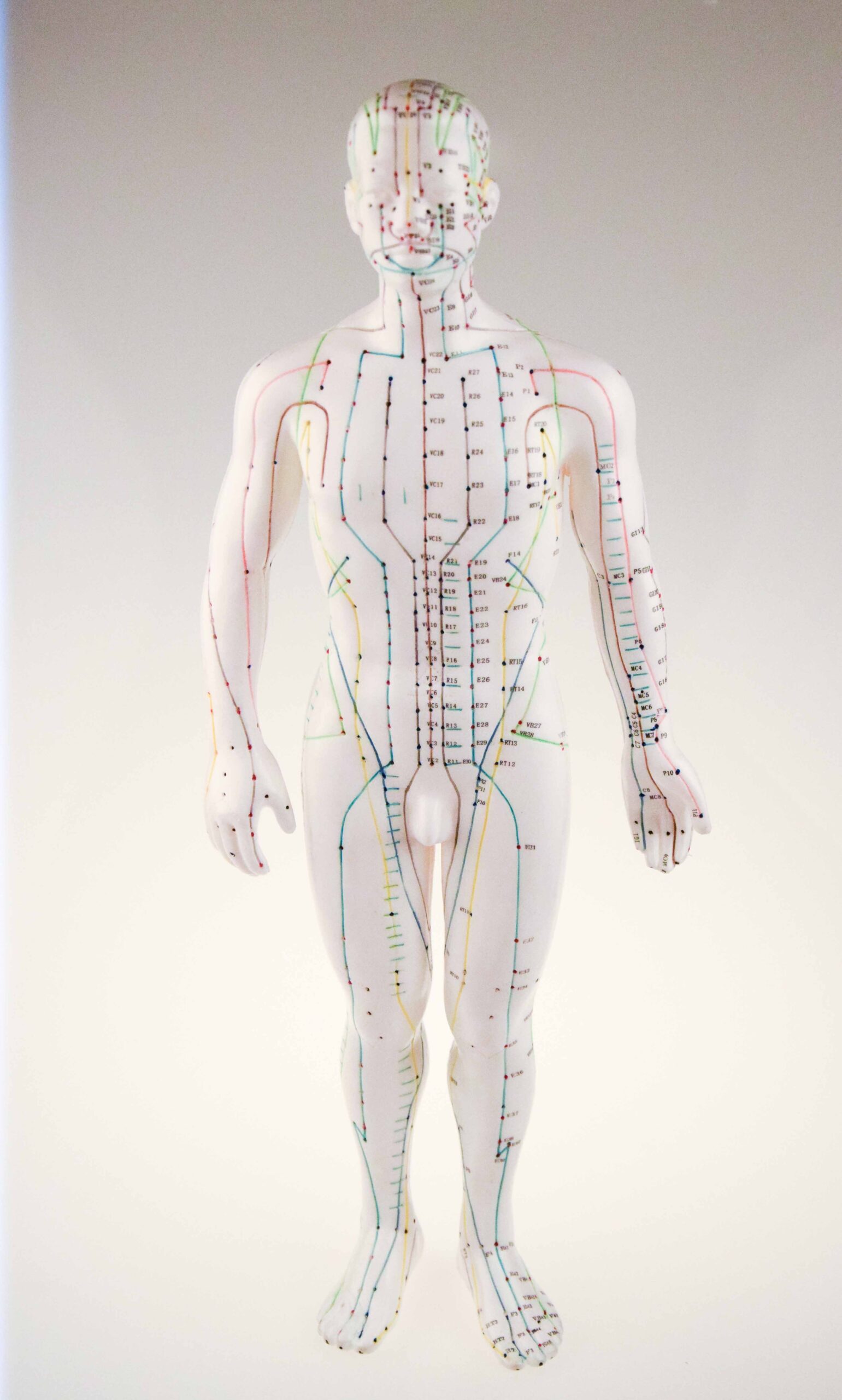 Mannequin Français HOMME – Image 4