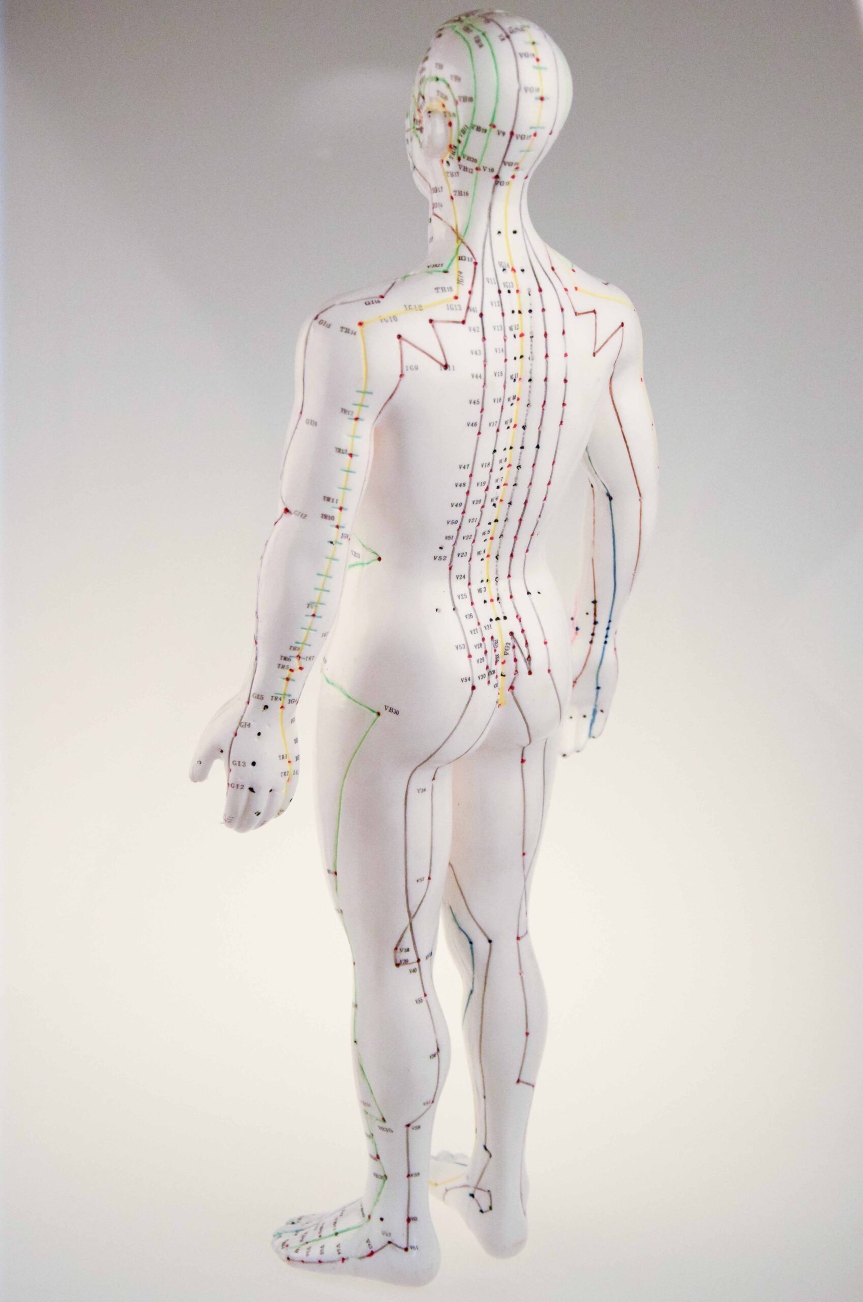 Mannequin Français HOMME – Image 5