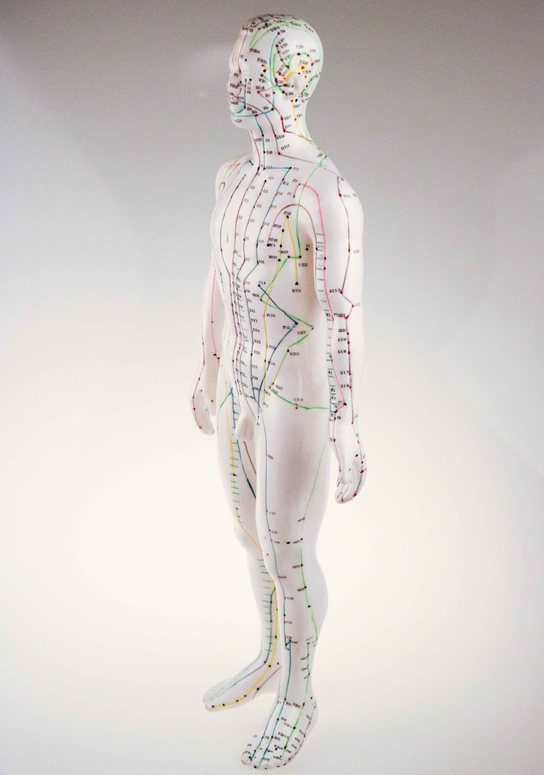 Mannequin Français HOMME – Image 6
