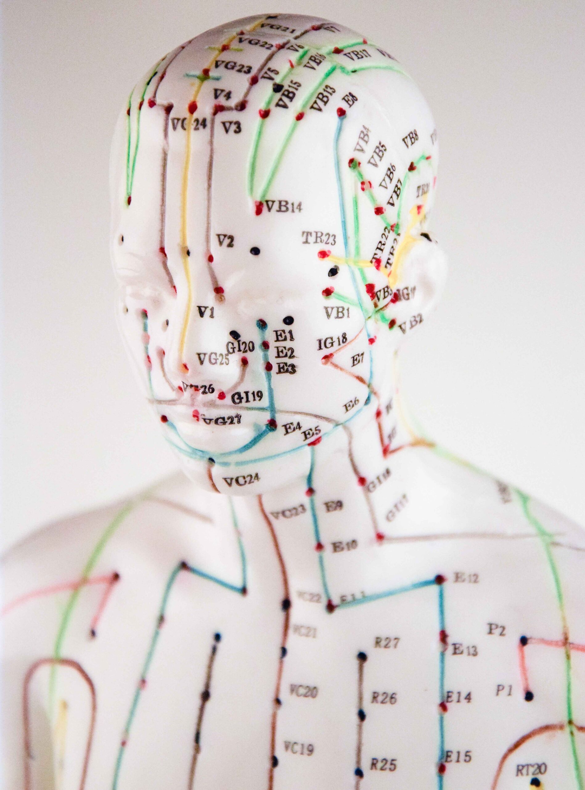 Mannequin Français HOMME – Image 7